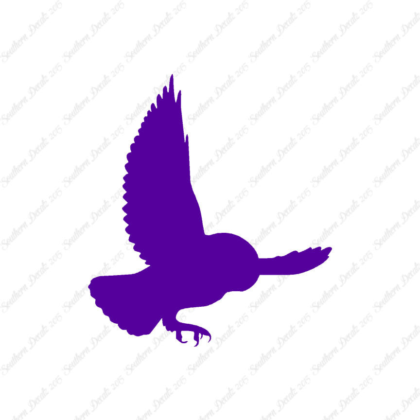 Barn Owl Bird