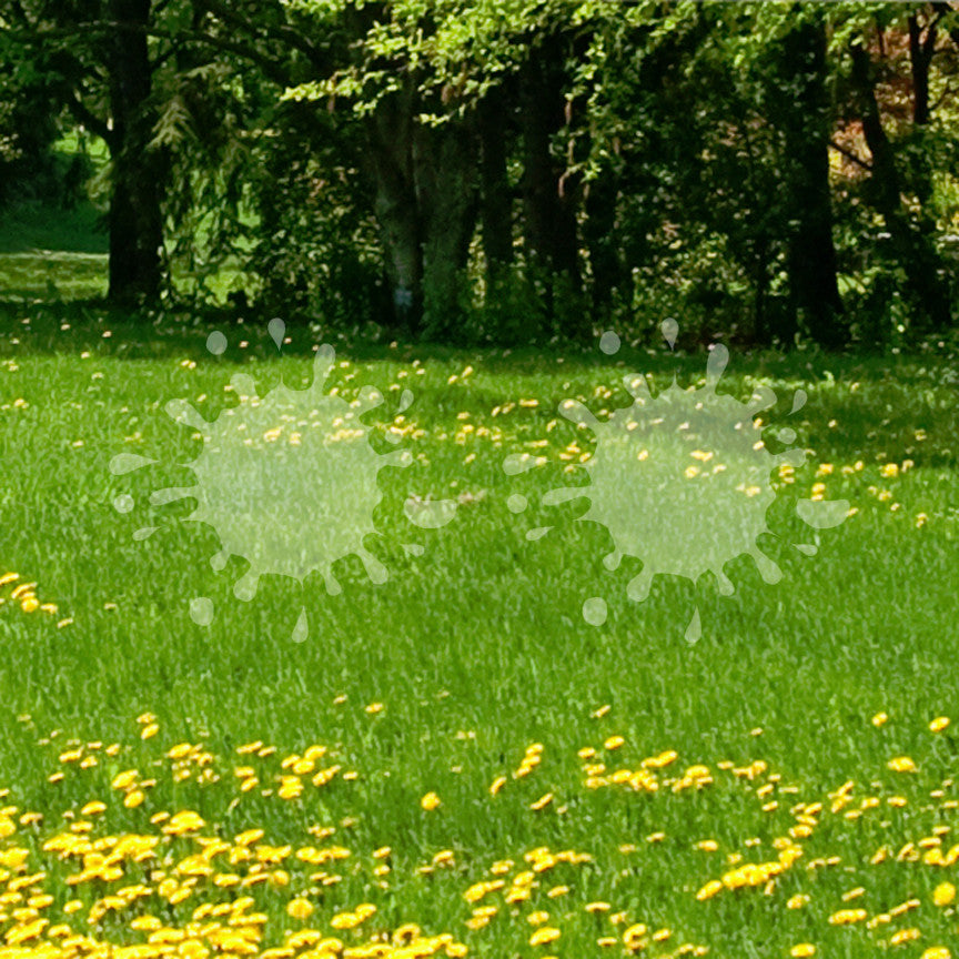 Pair Of Paint Splatter