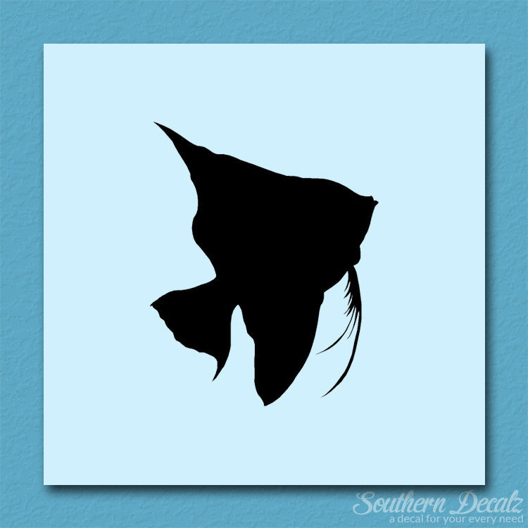 Clownfish Angel Fish