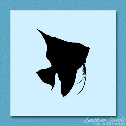 Clownfish Angel Fish