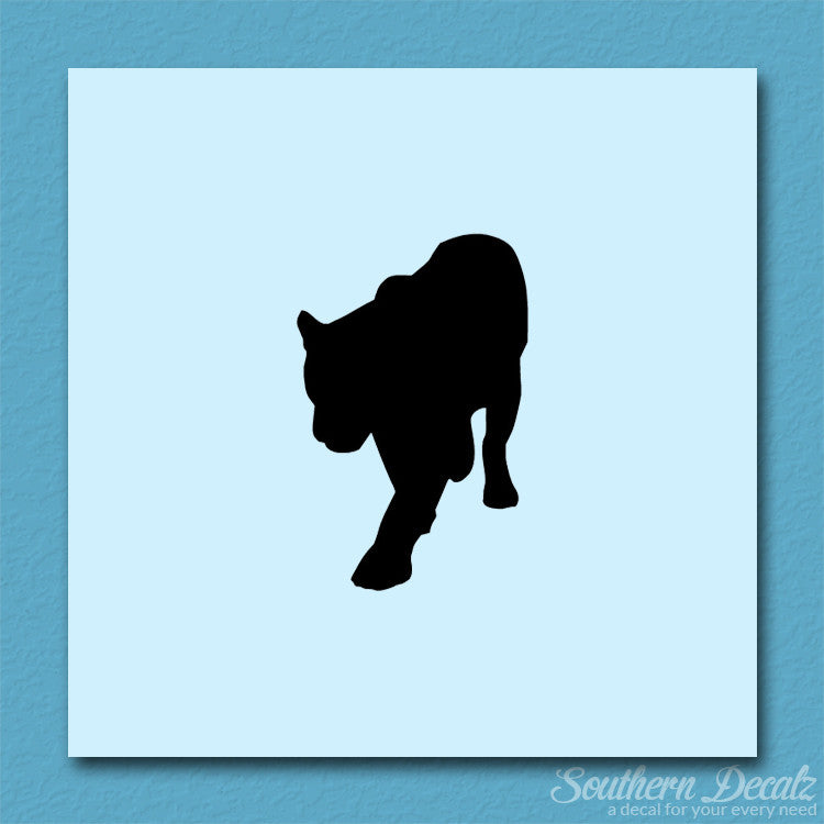 Panther Big Cat