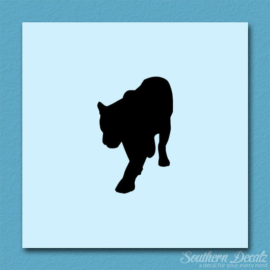 Panther Big Cat