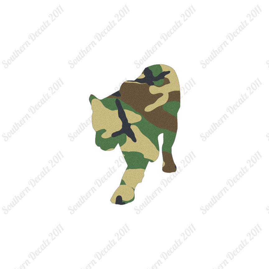 Panther Big Cat