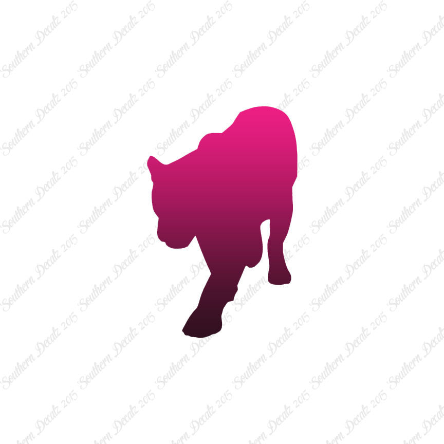 Panther Big Cat