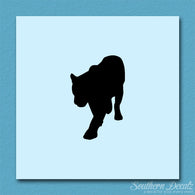 Panther Big Cat