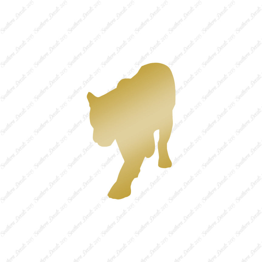 Panther Big Cat