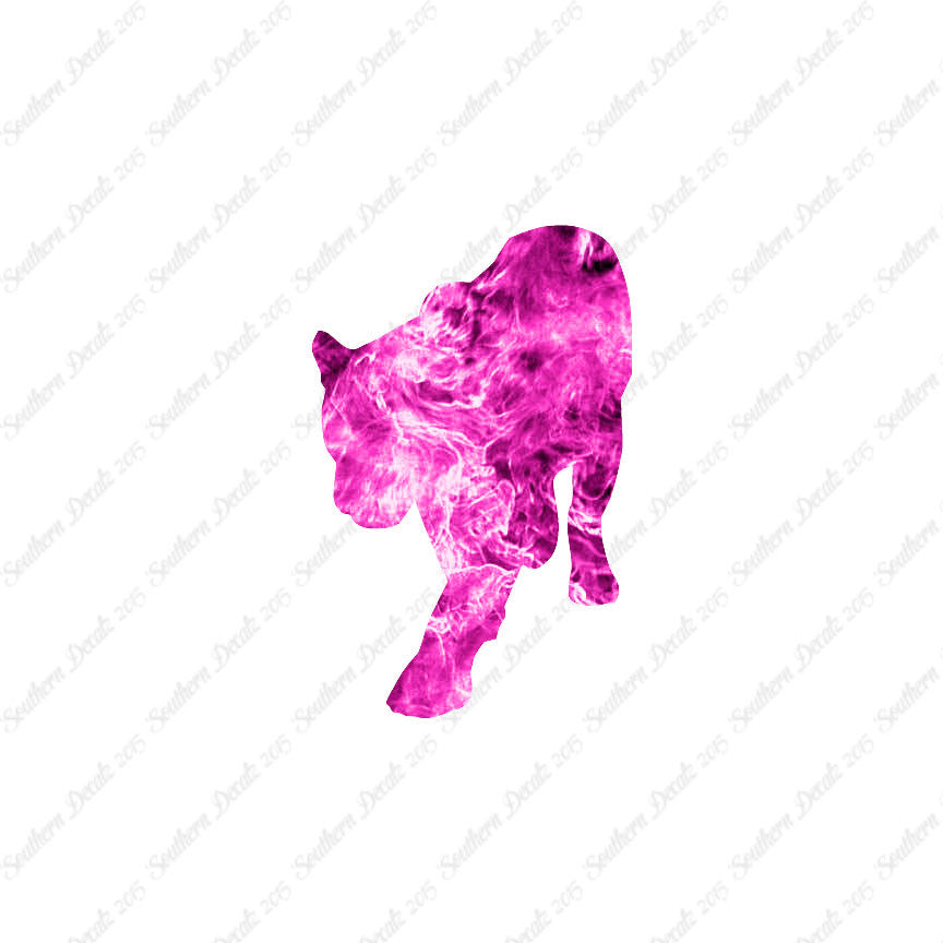 Panther Big Cat