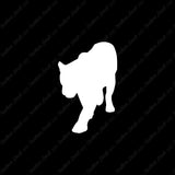 Panther Big Cat