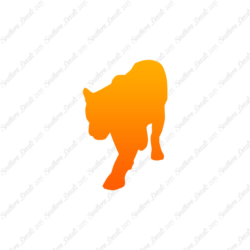Panther Big Cat