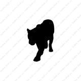 Panther Big Cat