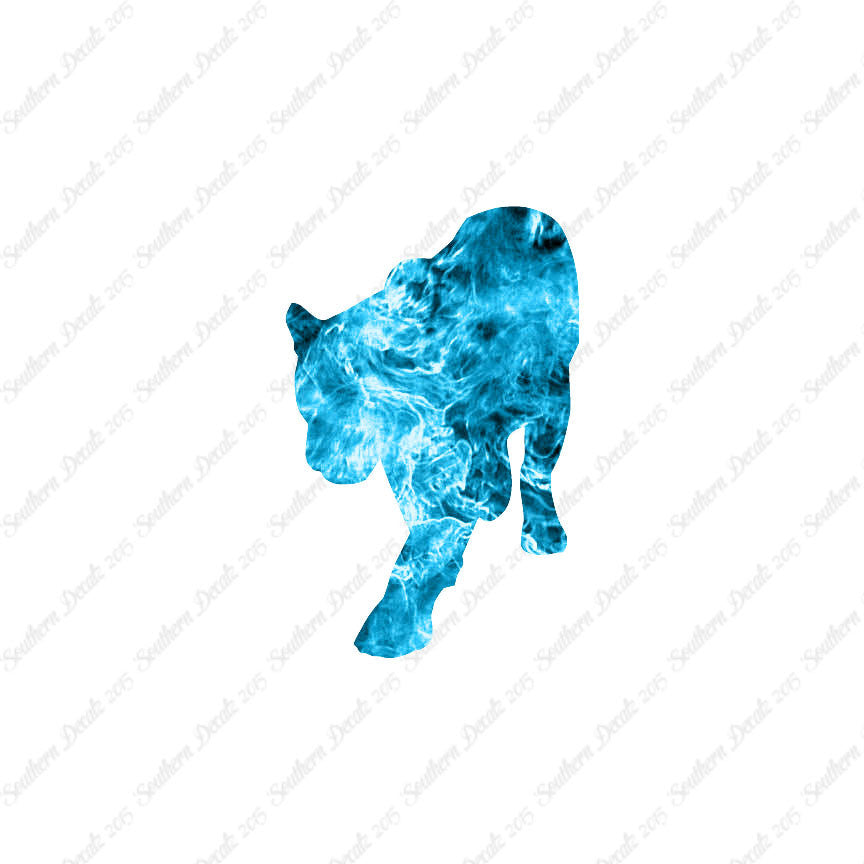 Panther Big Cat