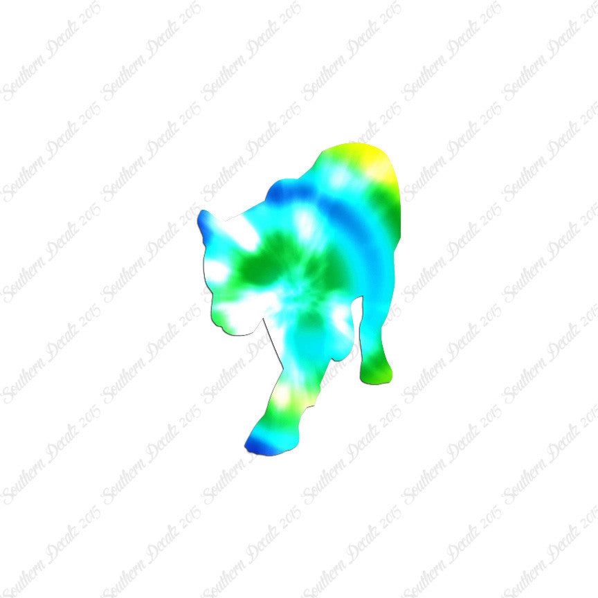 Panther Big Cat