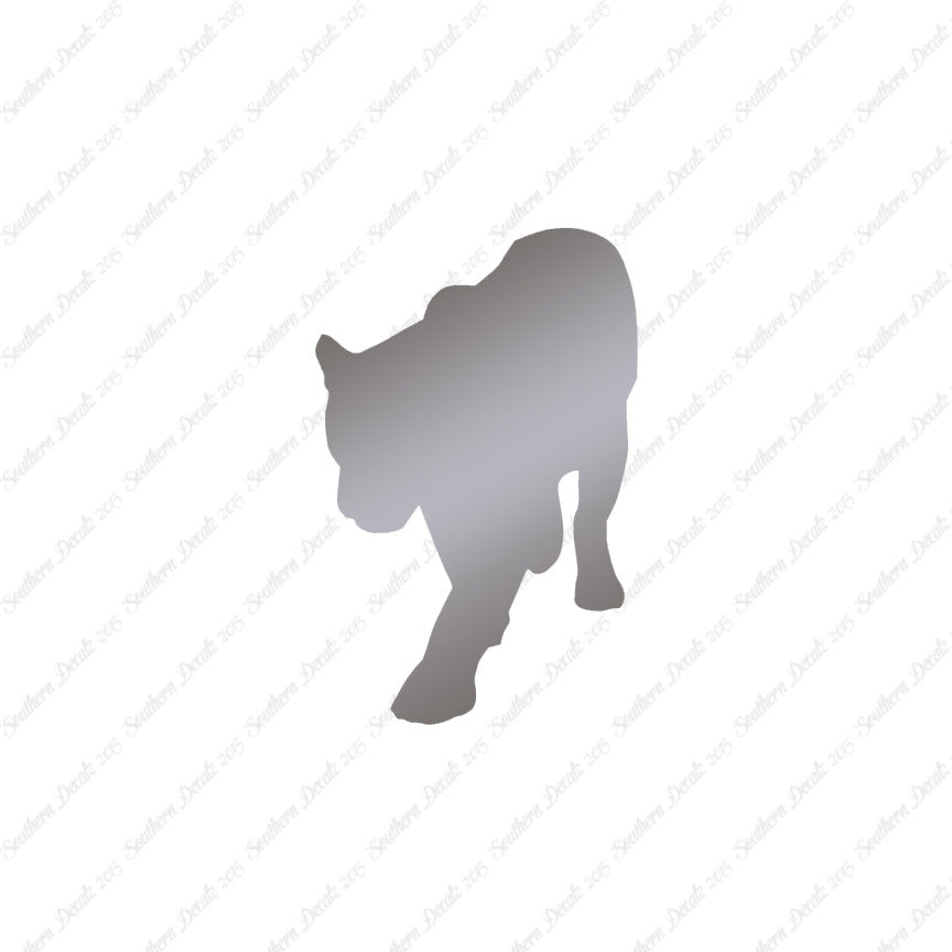 Panther Big Cat