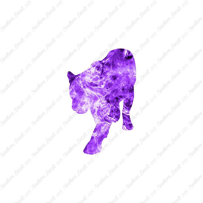 Panther Big Cat