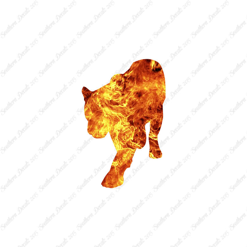 Panther Big Cat
