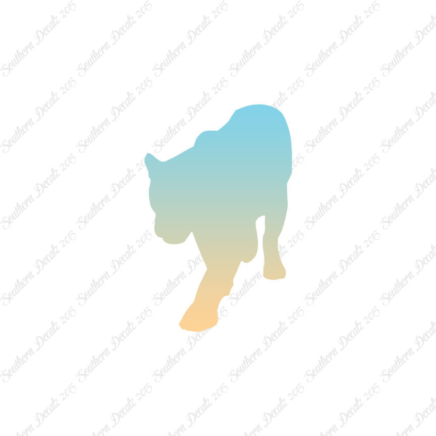 Panther Big Cat