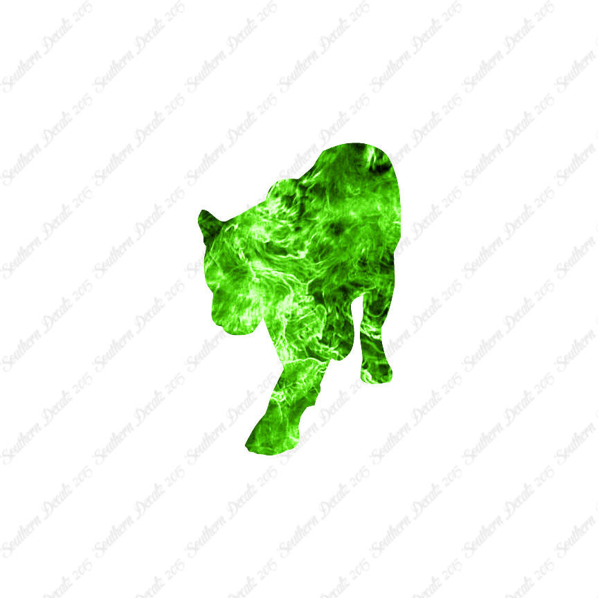 Panther Big Cat