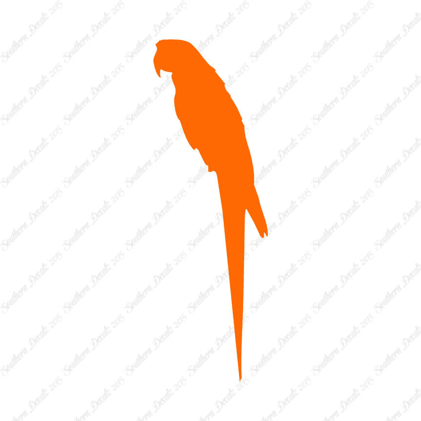Parrot Macaw Tropical Bird