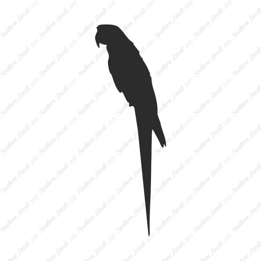 Parrot Macaw Tropical Bird