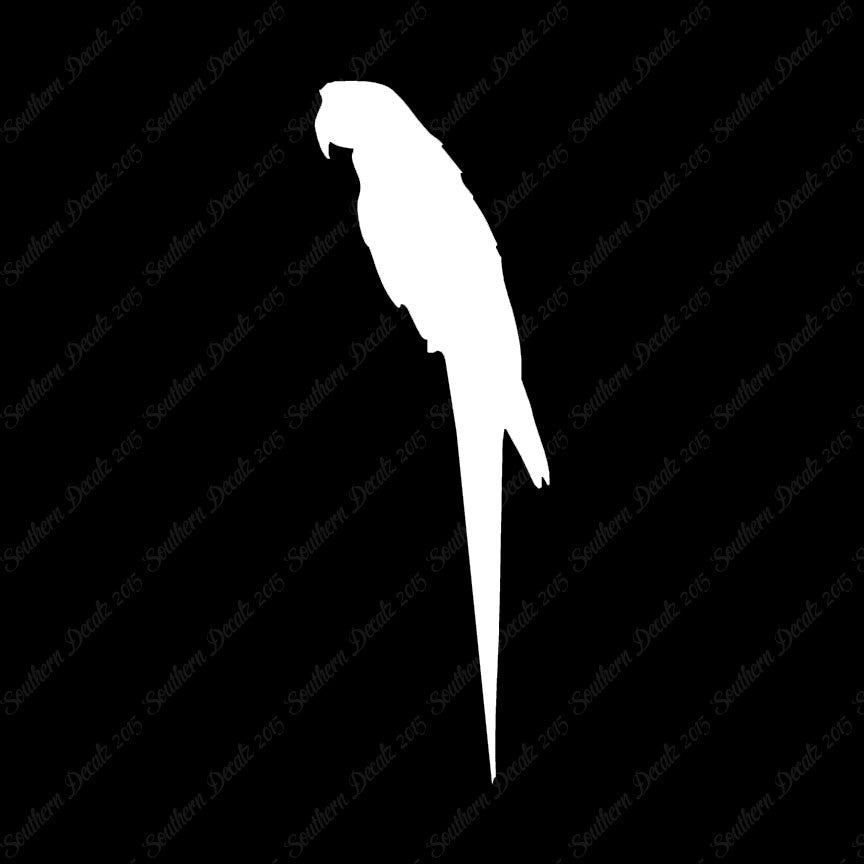 Parrot Macaw Tropical Bird