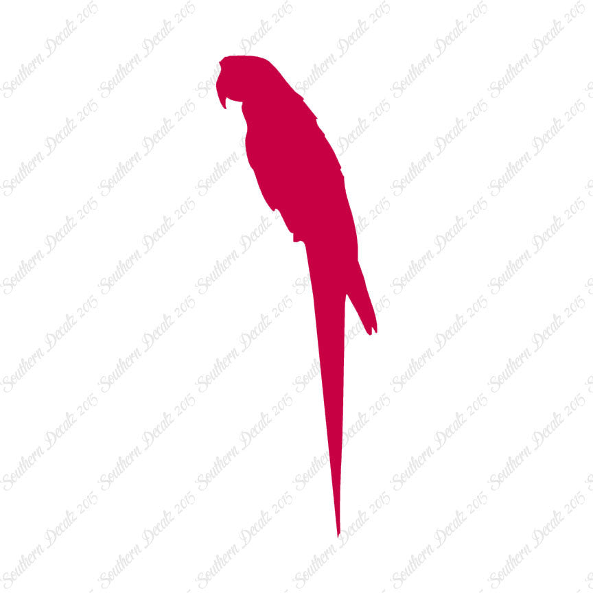 Parrot Macaw Tropical Bird
