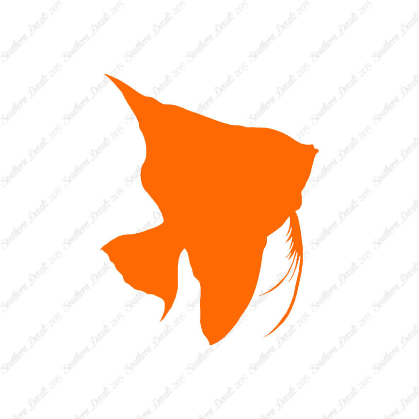 Clownfish Angel Fish