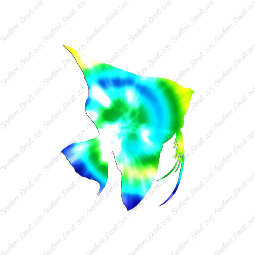 Clownfish Angel Fish