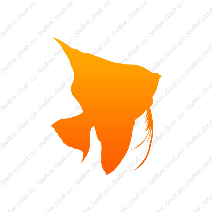 Clownfish Angel Fish