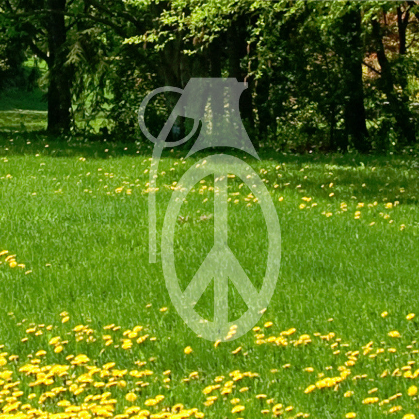 Peace Grenade