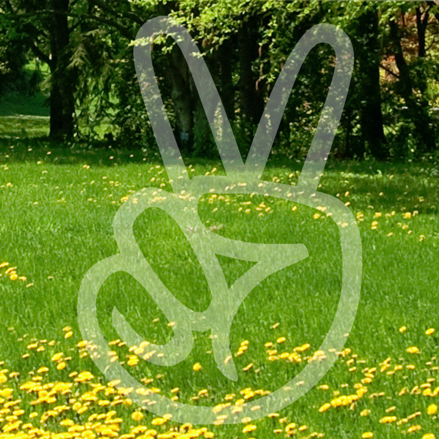 Peace Hand Sign