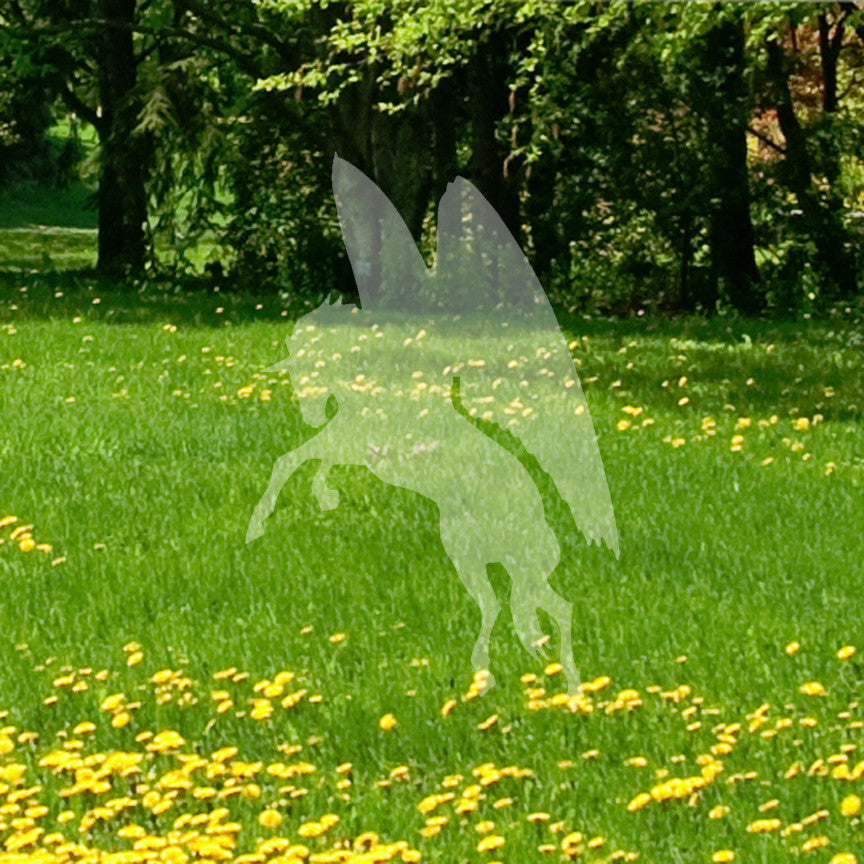 Winged Horse Pegasus