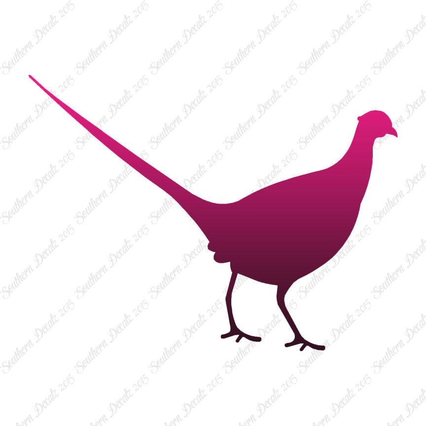 Pheasant Game Bird
