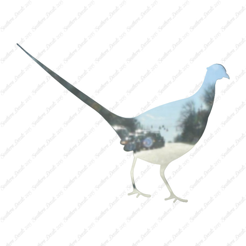 Pheasant Game Bird
