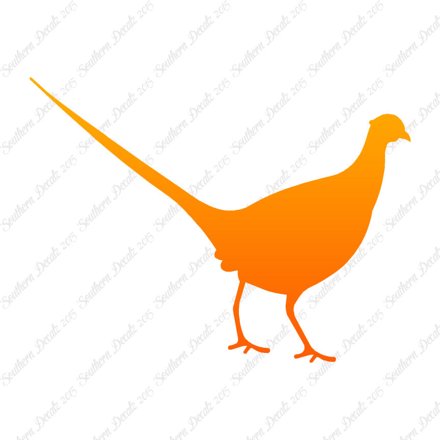 Pheasant Game Bird