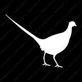 Pheasant Game Bird