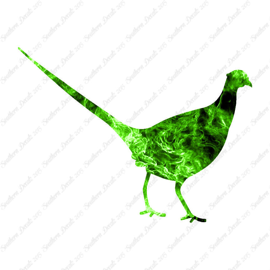 Pheasant Game Bird