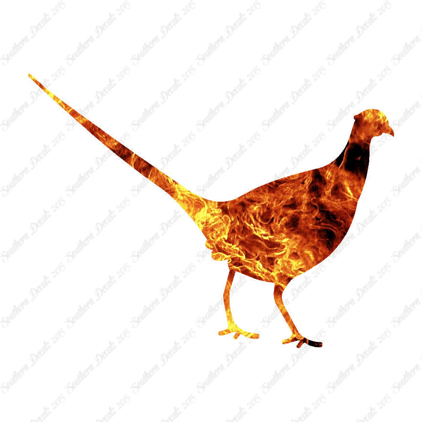 Pheasant Game Bird