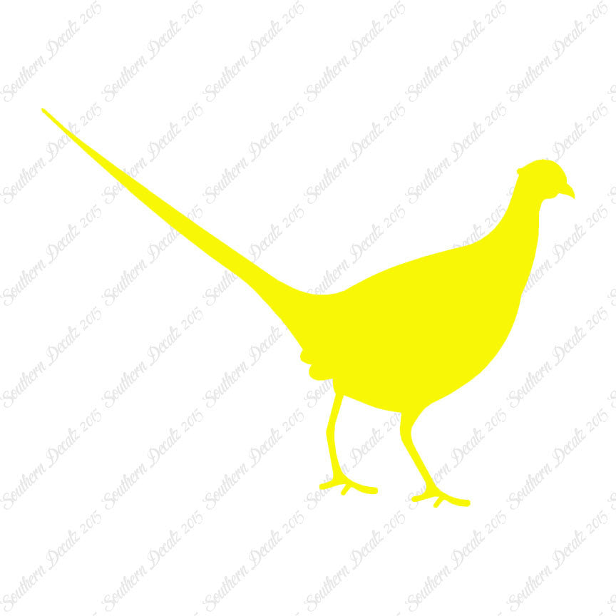 Pheasant Game Bird