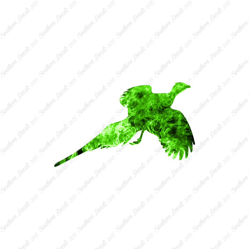 Pheasant Quail Game Bird