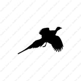 Pheasant Quail Game Bird