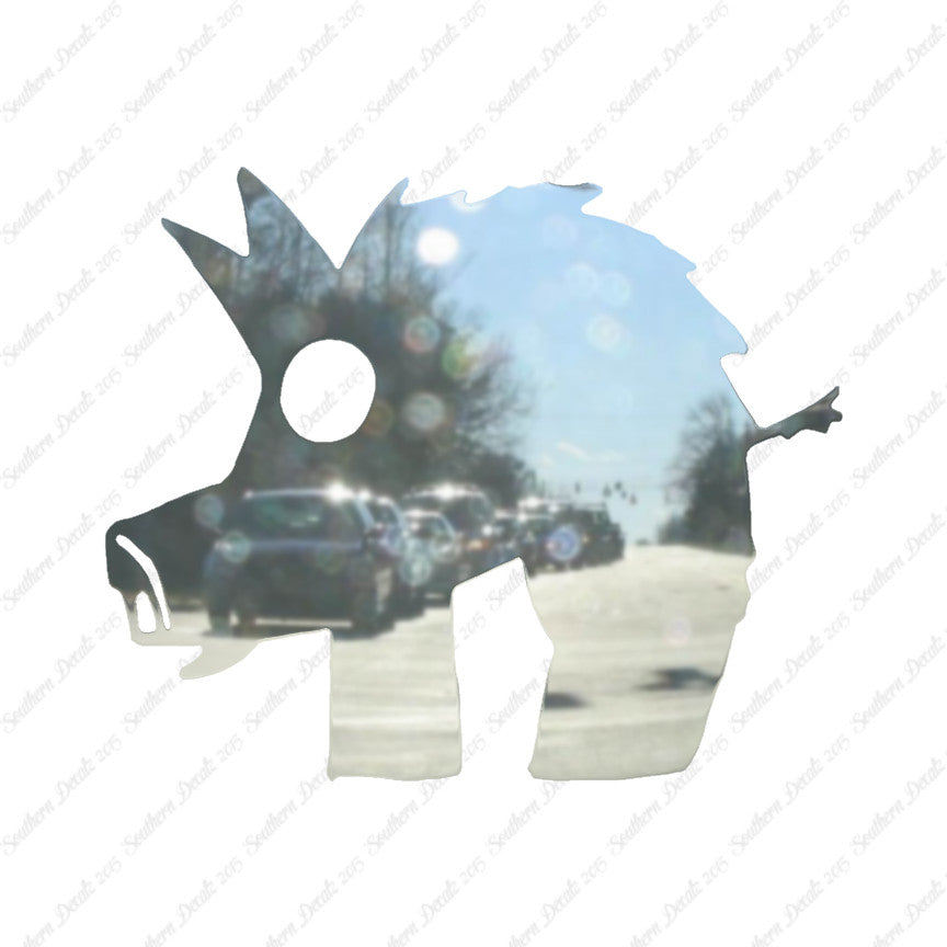 Wild Pig Boar Tribal