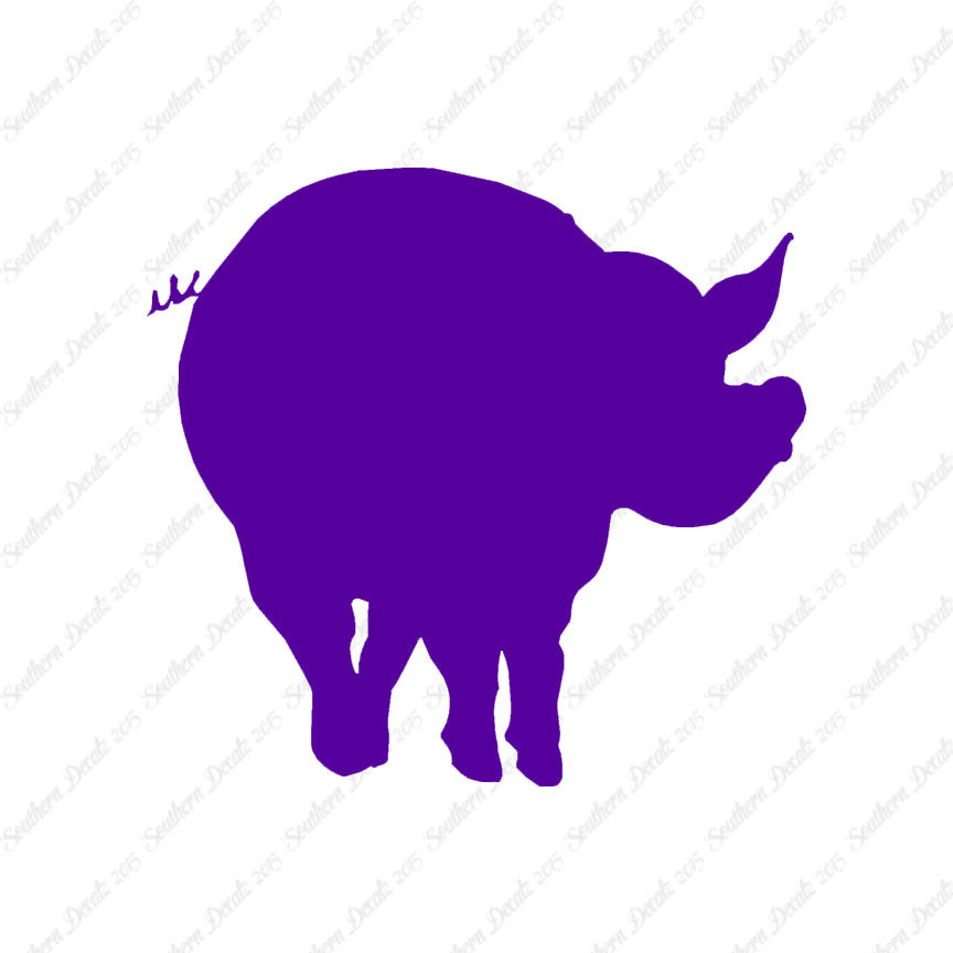 Pig Swine