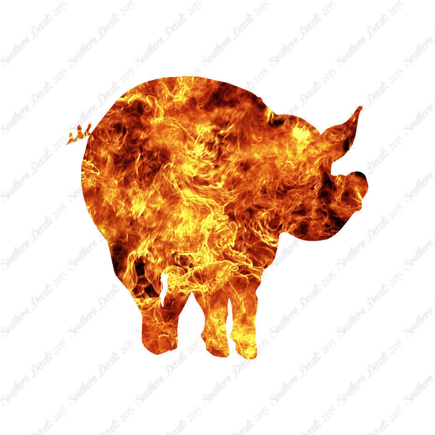 Pig Swine
