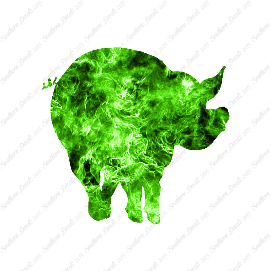 Pig Swine