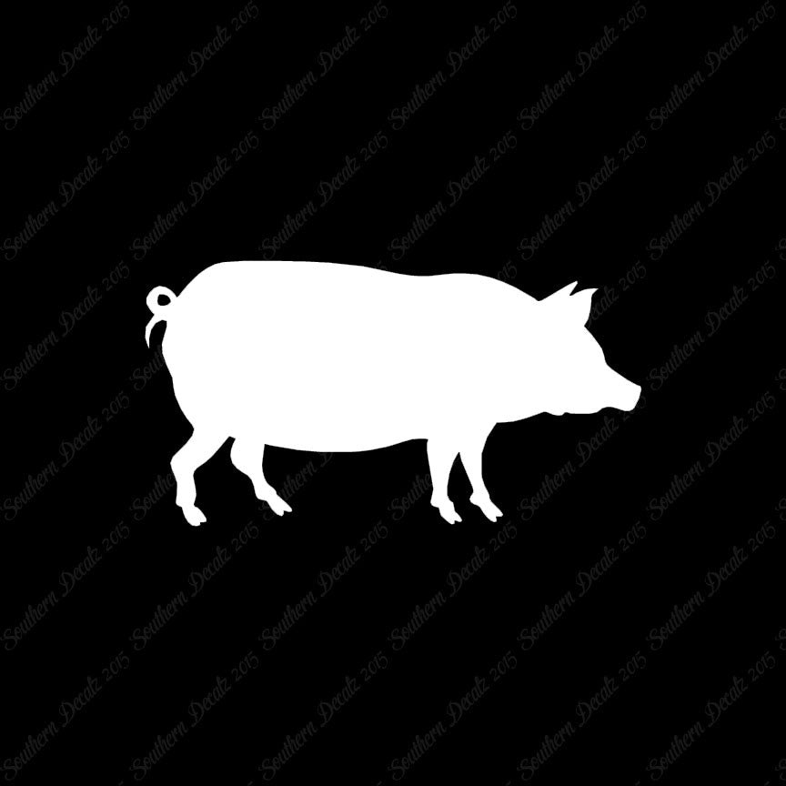 Pig Swine Sow