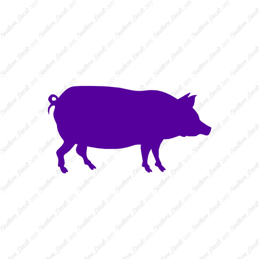Pig Swine Sow