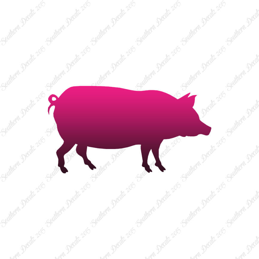 Pig Swine Sow