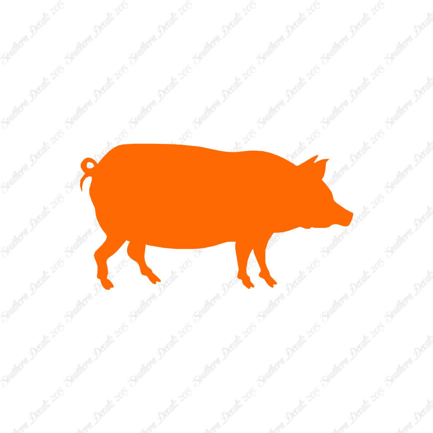 Pig Swine Sow