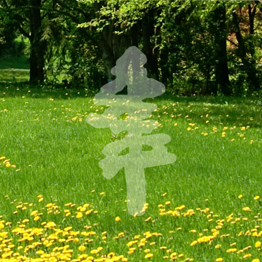 Pine Trees Drawing Art