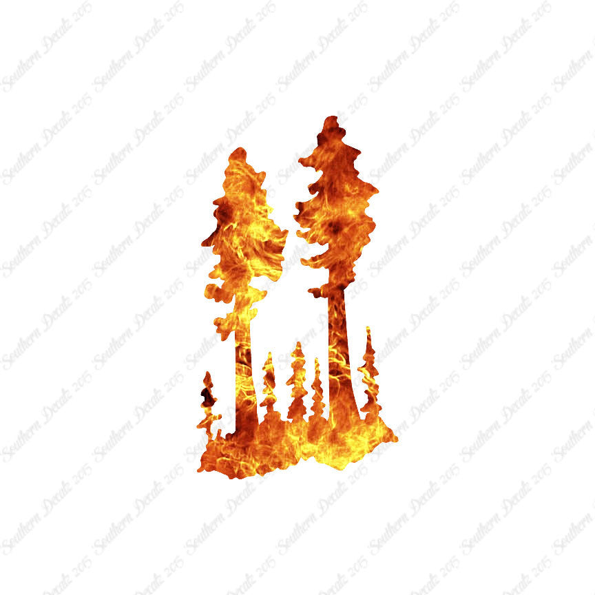 Palm Trees Forest Drawing